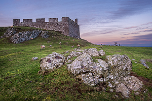 Hume Castle